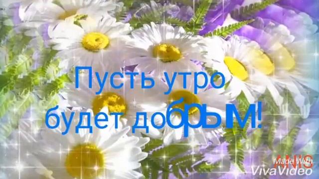 Самое красивое видео с добрым утром смотреть онлайн