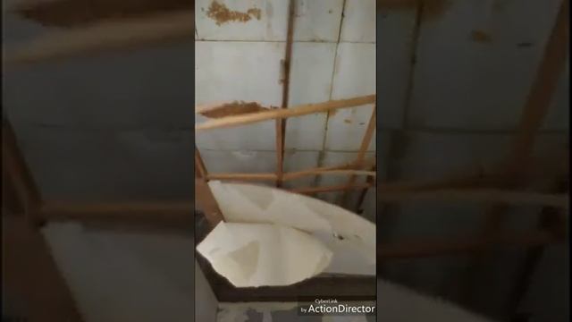 Высоко оплачиваемый выходной в Корее.