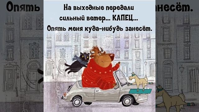 С юмором и позитивом о нас- девочках 🧚 смотреть онлайн