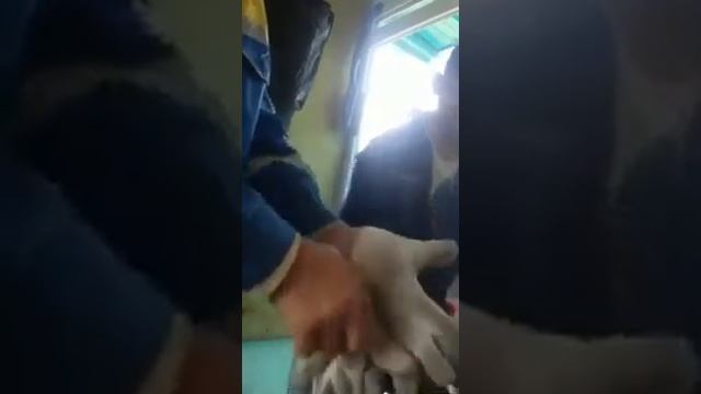 Прикол искра смотреть онлайн