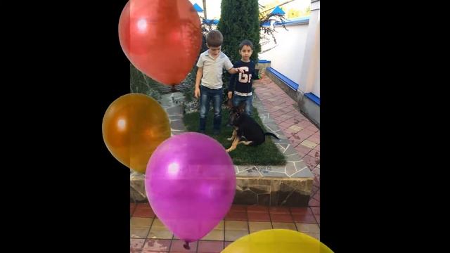 С Днём Рождения,Мика и Юра! смотреть онлайн