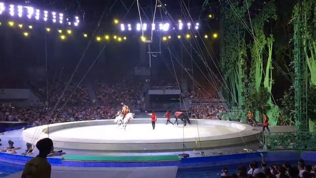 Джигитовка (Best moments) смотреть онлайн