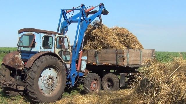 универсальные вилы на КУН для погрузки сена, погрузили и перевезли последнее сено, жизнь в деревне смотреть онлайн