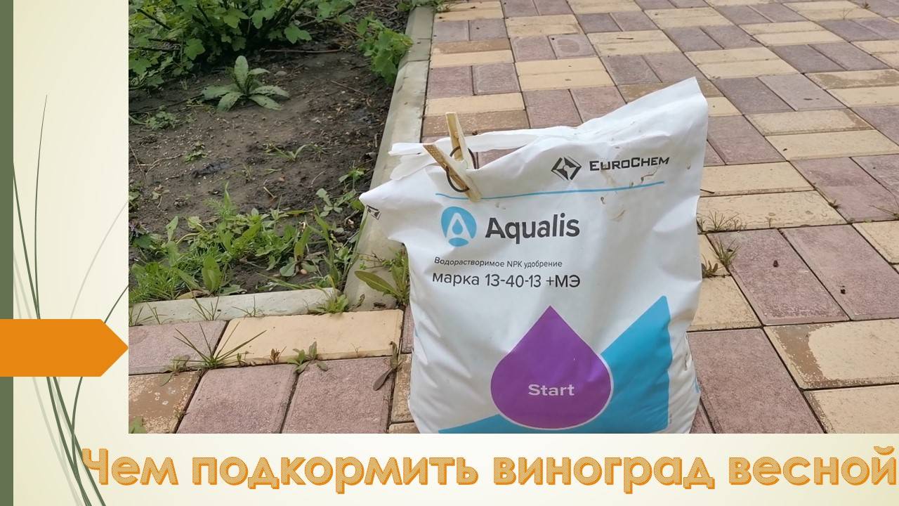 Первая весенняя подкормка винограда. Надо поддержать перед заморозками смотреть онлайн