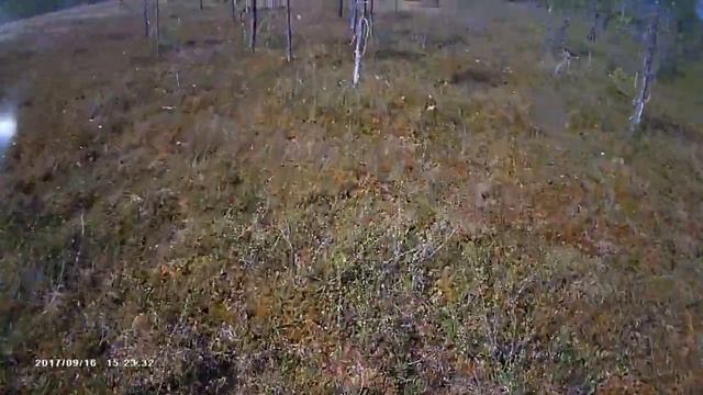 Пахус МД смотреть онлайн