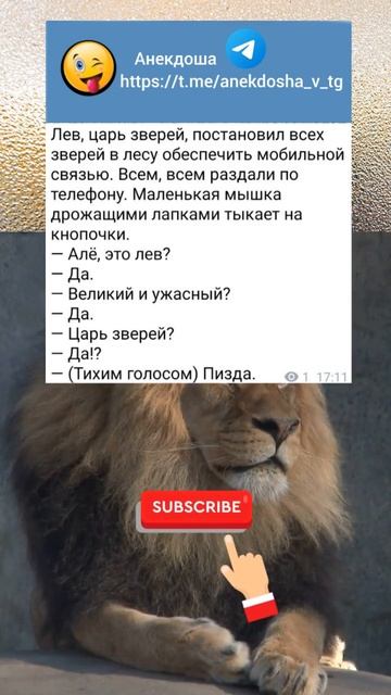 Что будет если всем зверям раздадут телефоны. Смешной короткий анекдот смотреть онлайн