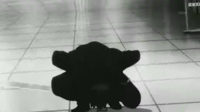 Я люблю тебя и не навижу *АнИмЕ клип* смотреть онлайн