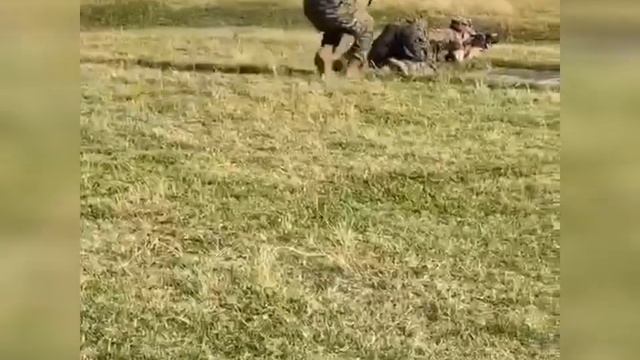 УГАРНЫЕ ПРИКОЛЫ 2021 | ПРИКОЛЫ В ТАНКАХ | РЖАЧНЫЕ ПРИКОЛЫ #19 смотреть онлайн