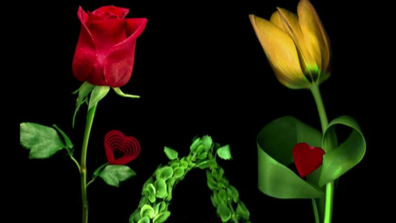 Лидолия Никитина - "Участь цветов". Читают Элла Якубенкова и Владислав Витковский смотреть онлайн