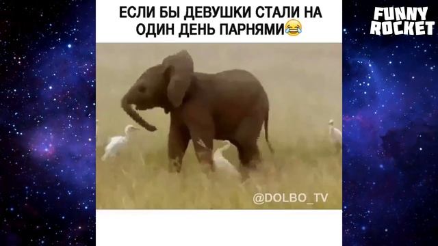 ЗАСМЕЯЛСЯ - ПРОИГРАЛ ! ЛУЧШИЕ ПРИКОЛЫ 2019 ТЕСТ НА ПСИХИКУ УГАР! РЖАКА! НЕ СМЕЙСЯ! COUB #6 смотреть онлайн