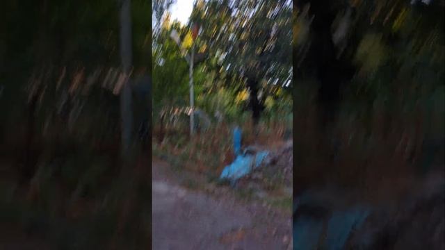 Lager Kelajak Лагерь КЕЛАЖАК 2024 смотреть онлайн