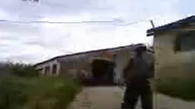 прикол змея смотреть онлайн