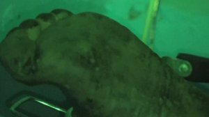 ГЕРАСЕВ. Все фрагменты из ролика БЕЗ ЦЕНЗУРЫ!!! ТОЛЬКО ДЛЯ САМЫХ СМЕЛЫХ!!!! ТОННЕЛЬ СЕРИЯ 14.