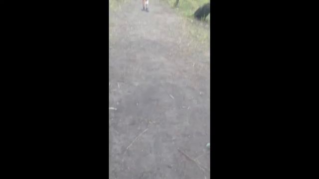Смешной снайпер))) смотреть онлайн