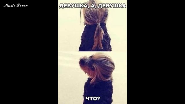 Новое смешное видео картинки!