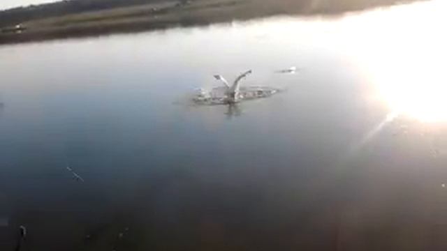 Супер приколы на рыбалке. смотреть онлайн