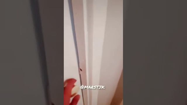 прикол точики барои бангиё бхан бача 😂😂😂 смотреть онлайн