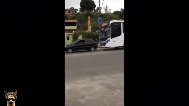 ПРИКОЛЫ 2017 ДЕКАБРЬ жесть угар прикол - ПРИКОЛЮХА смотреть онлайн