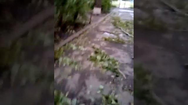 Ураган в Ульяновске смотреть онлайн