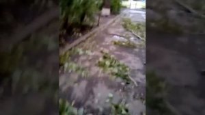 Ураган в Ульяновске