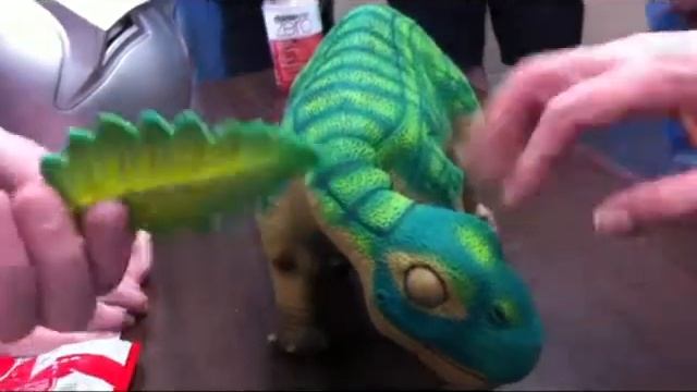 pleo robot dinosaur in action at the Sea Base and Aquatics Center in Long Beach смотреть онлайн