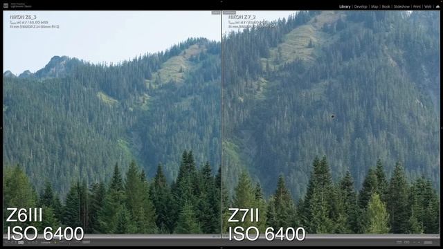 Обзор / сравнение Nikon Z6III vs Nikon Z7II смотреть онлайн