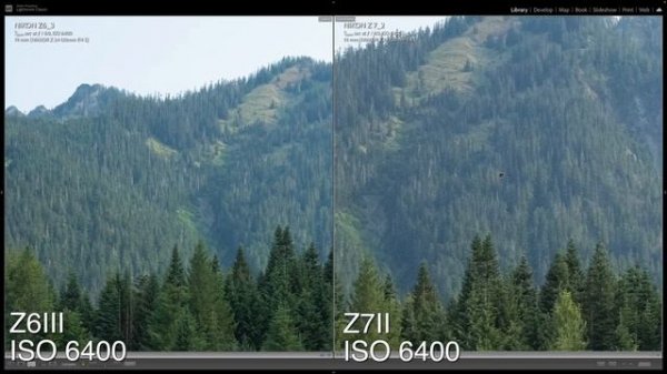Обзор / сравнение Nikon Z6III vs Nikon Z7II