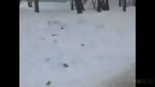 Поздравление с 8 Марта ! Прикол ))) смотреть онлайн