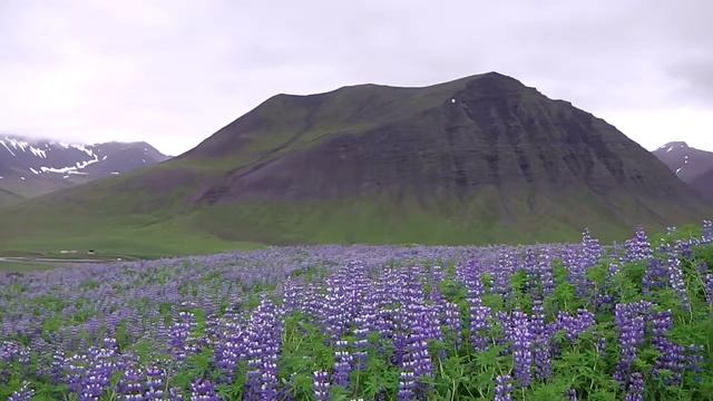 July 5 Near Pingieri, Northwest Iceland смотреть онлайн