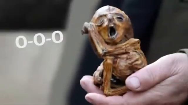 Мой господь хранит меня потому что я дитя царя