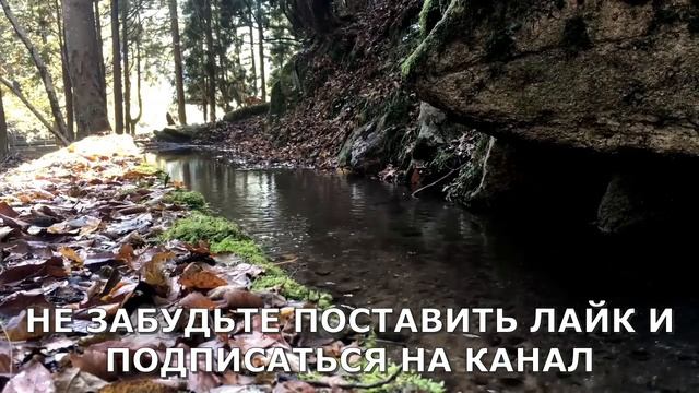 Не прочь была...Интересные истории из жизни. Аудиорассказ