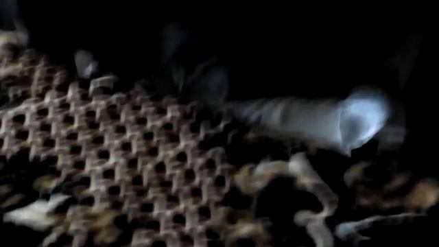 ОТСТАНЬТЕ ОТ МЕНЯ!!!!!!!!!!!!!!!!