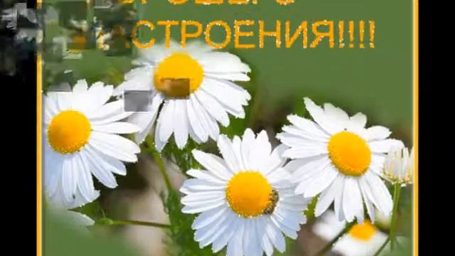 Для моей подруги ВАЛЕ КАРА ( Ярошенко ) от Лорика .