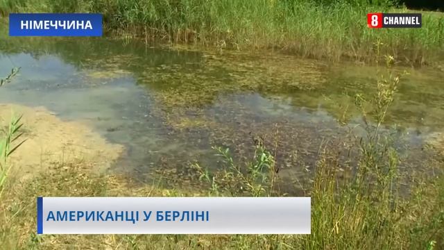 Раки з Північної Америки швидко розмножуються у річках Берліну смотреть онлайн