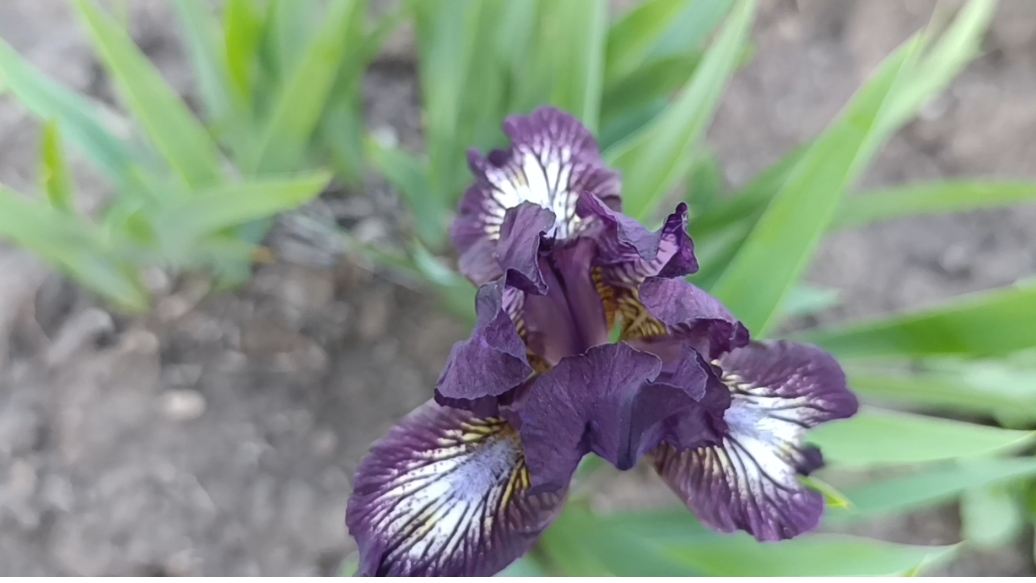 30-04-2025 Кто хорошо работает тот получает подарки😀.Покупки не большие. смотреть онлайн