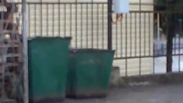 Вася выгляни! Прикол над собакой! усались со смеху! смотреть онлайн