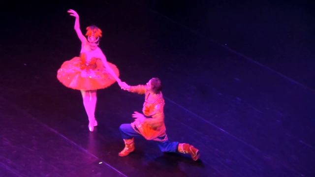 Рената Шакирова, Александр Волчков - дуэт из балета "Жар-птица" 4.03.2024 Зарядье смотреть онлайн