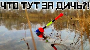 КРУПНОЕ НЕЧТО ОДУРЕЛО в АПРЕЛЕ! Закинул в лесной залив и НАЧАЛОСЬ! Рыбалка на поплавок 2025.