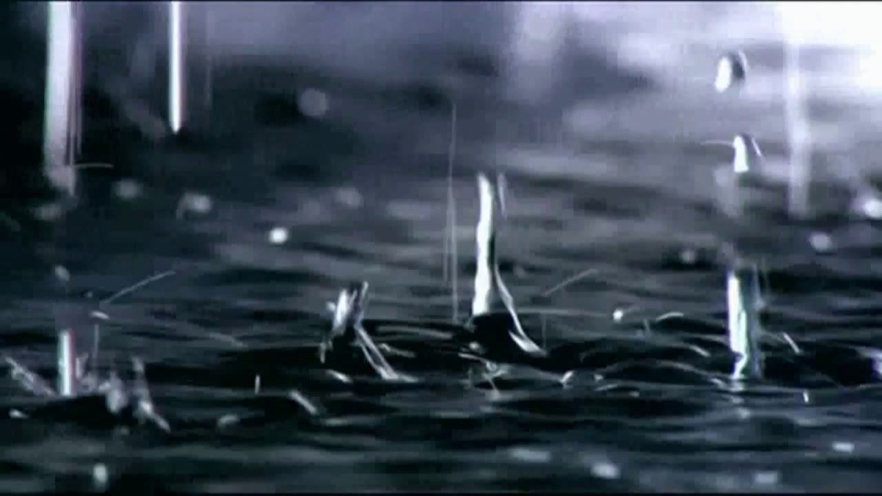 Лидолия Никитина - Разрешите подарить цветы. Портрет старика. Читает Владислав Витковский смотреть онлайн