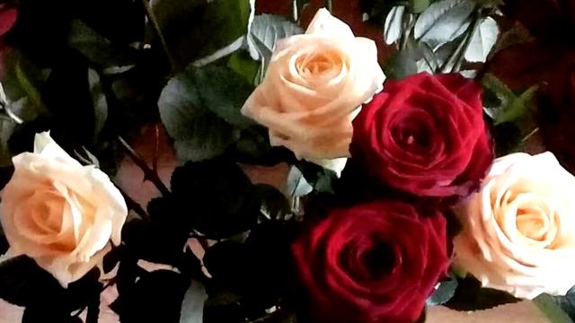 С Днем Рождения, Ида!