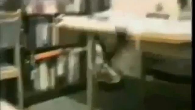 Самые смешные подборки видео роликов в истории! смотреть онлайн