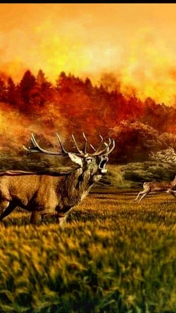 Объятья жаркой смерти...