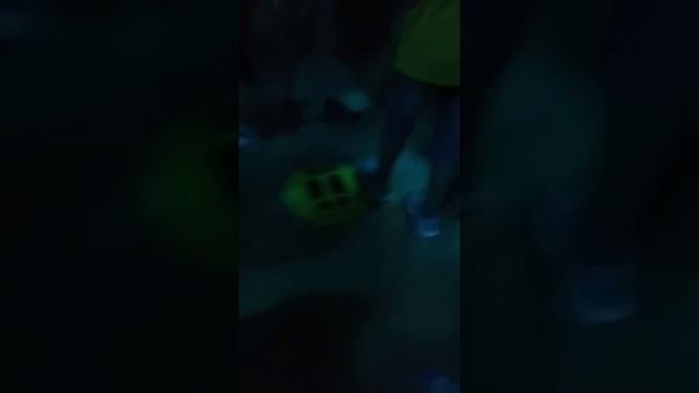 прикольные рыбки смотреть онлайн