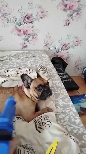 15 июня 2024 г. смотреть онлайн