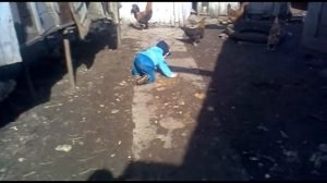 видео прикол ,пошли проч  . Я САМ СЕБЕ РЕЖИСЁР