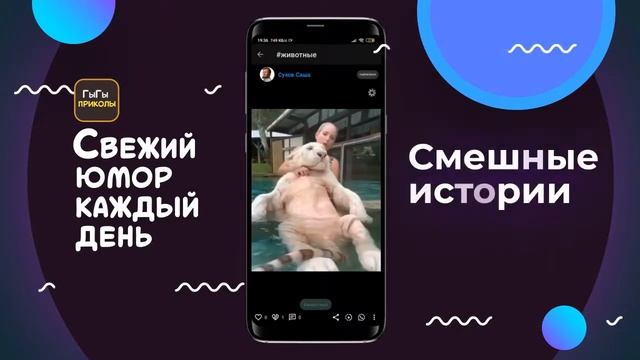 Мобильное приложение ГыГы Приколы - это обновляемая каждый час подборка смешных видео и фото. смотреть онлайн