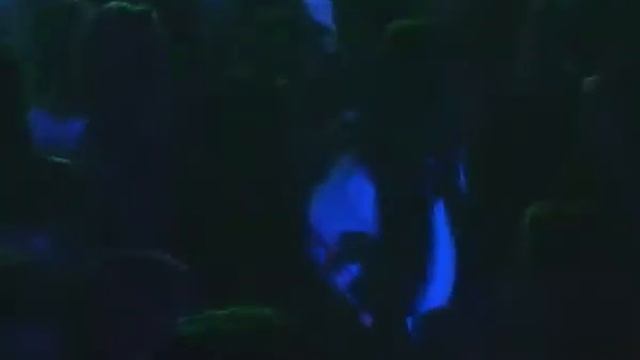 Фестиваль «Парк» под Пензой стартует с выступления испанских диджеев смотреть онлайн