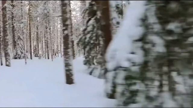 Юрий Терешкин                            песня 