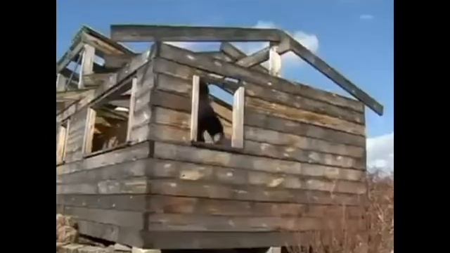 повестка из военкомата смотреть онлайн