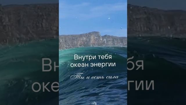Эти фразы изменят вашу жизнь к лучшему смотреть онлайн